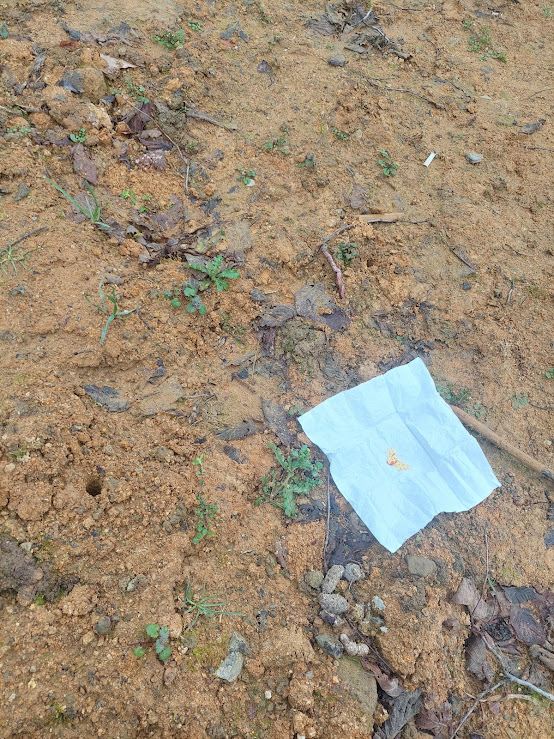 Sakarya Hendek Sümbüllü Köyü