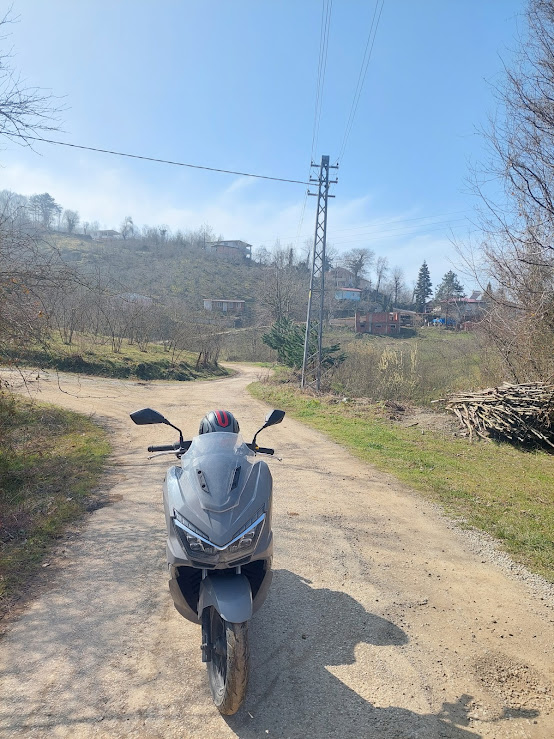 Sakarya Hendek Sümbüllü Köyü